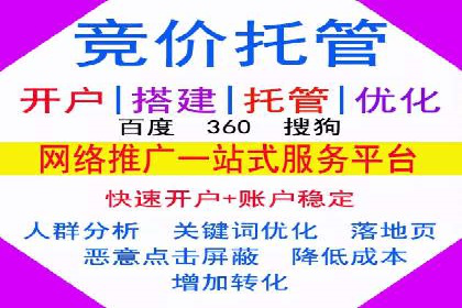 某电商平台的SEM投放全流程案例